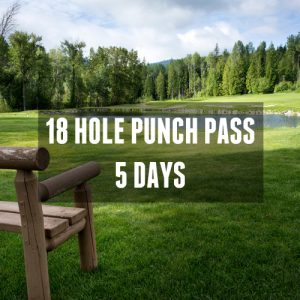 18-hole golf punch pass
