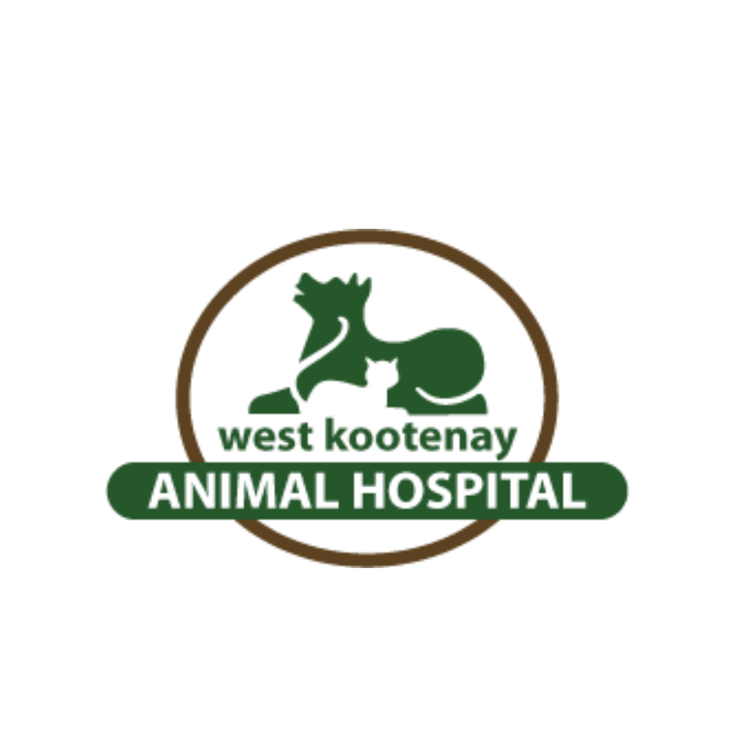 AUCTION ITEM: West Kootenay Animal Hospital Cat gift basket - Redstone  Resort