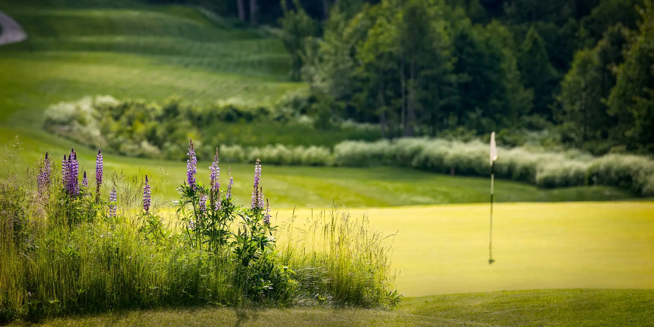 Weekend Rossland Golf Trip