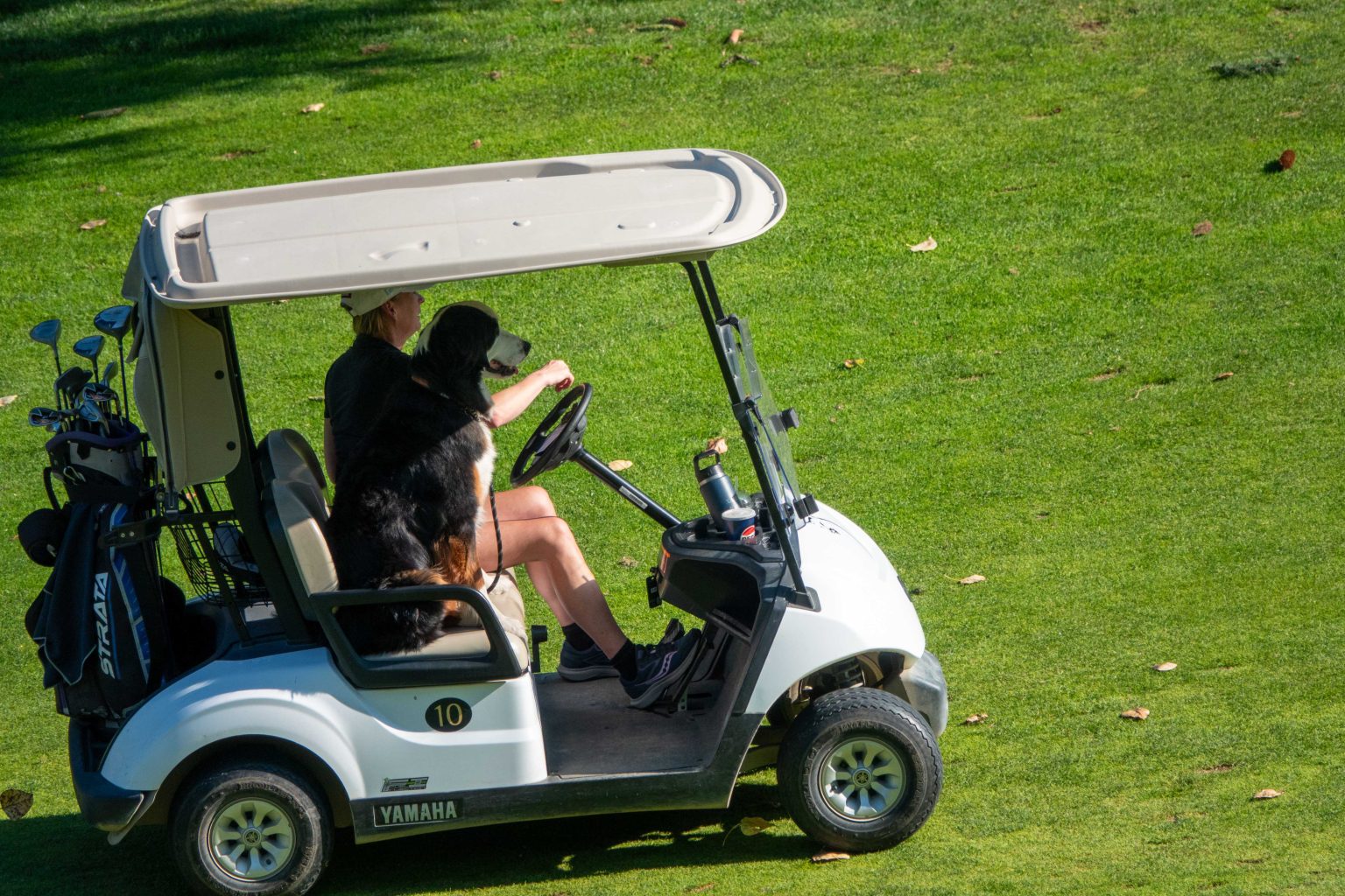 Golf Power Carts at Redstone Resort