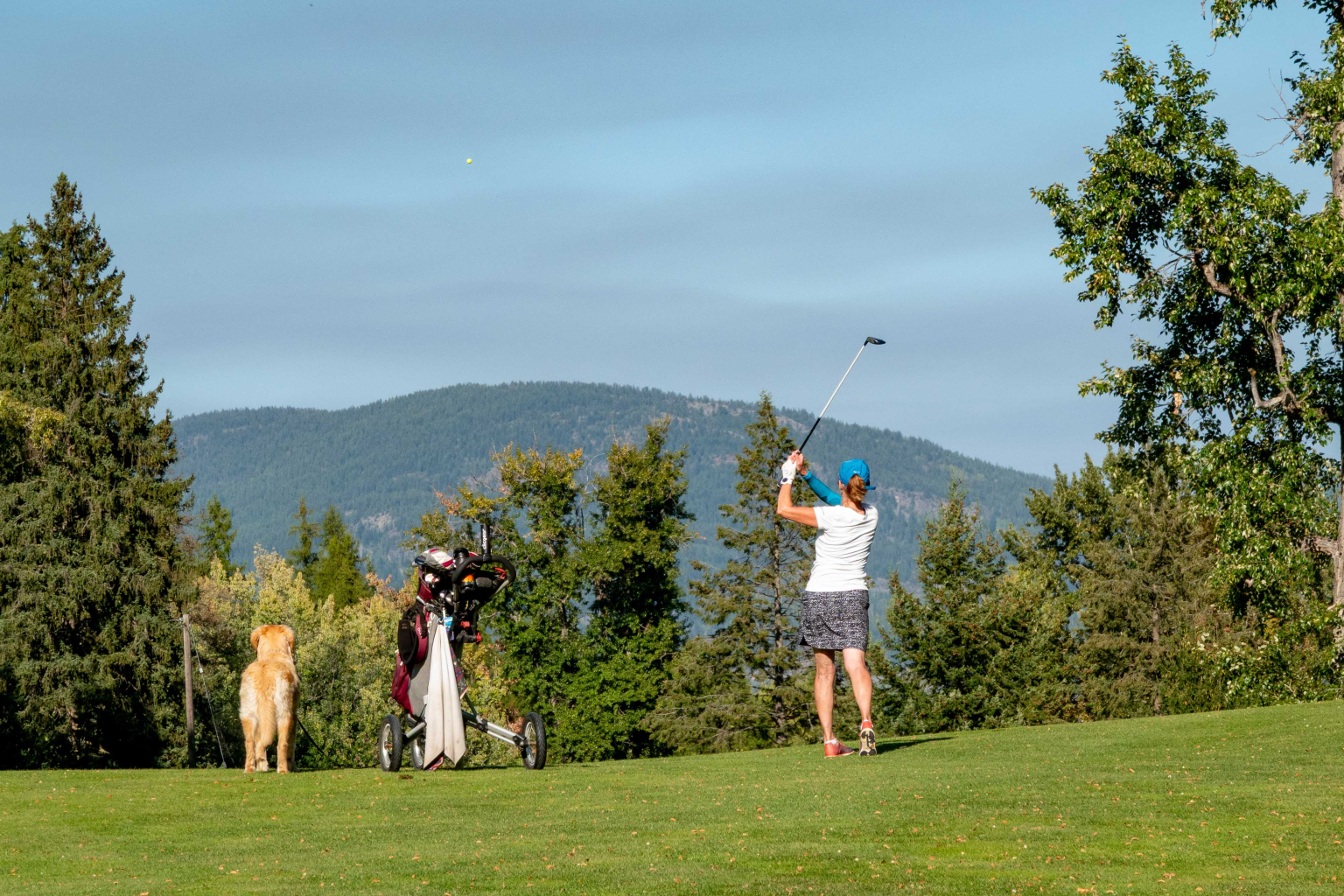 Hole6Sept2025Dog Golf player mid-swing on a beautiful mountain golf course