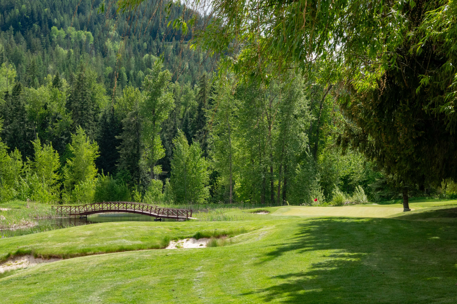Picturesque mountain golfing in Rossland British Columbia