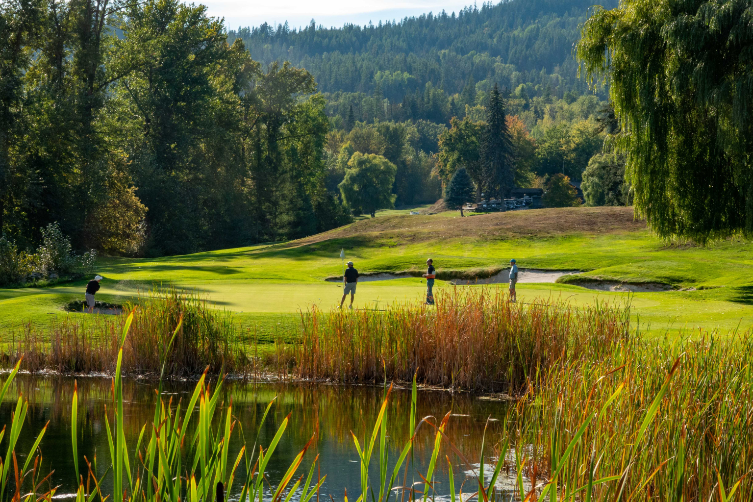 Stunning views of championship mountain Redstone Golfcourse in Rossland BC