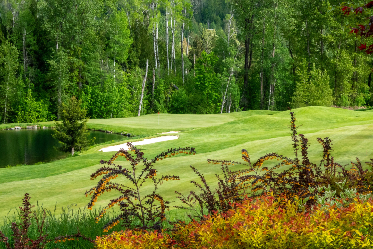 Hole17May2026-3