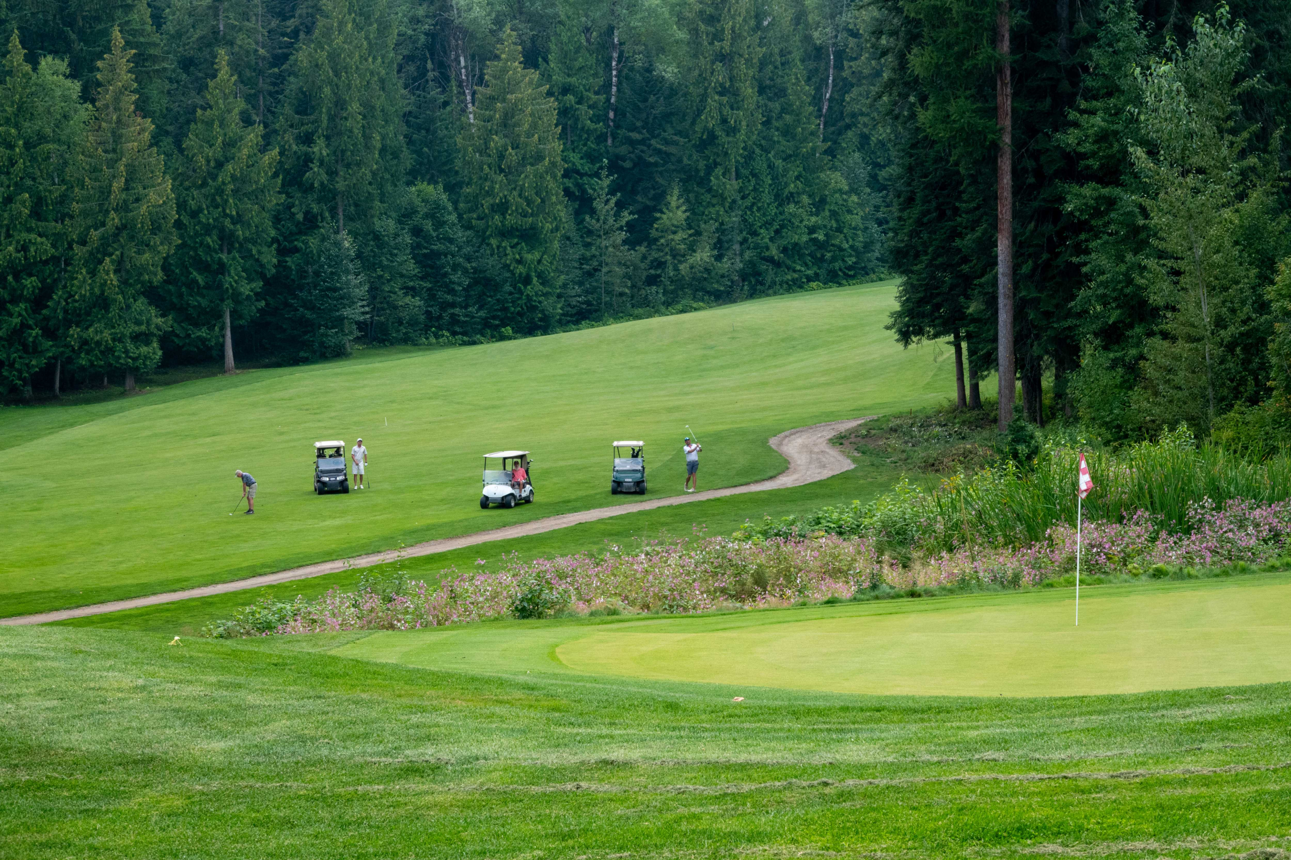 Power cart golf carts available at Redstone Golfcourse